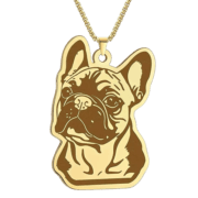 Halsketting met hanger diverse rashonden